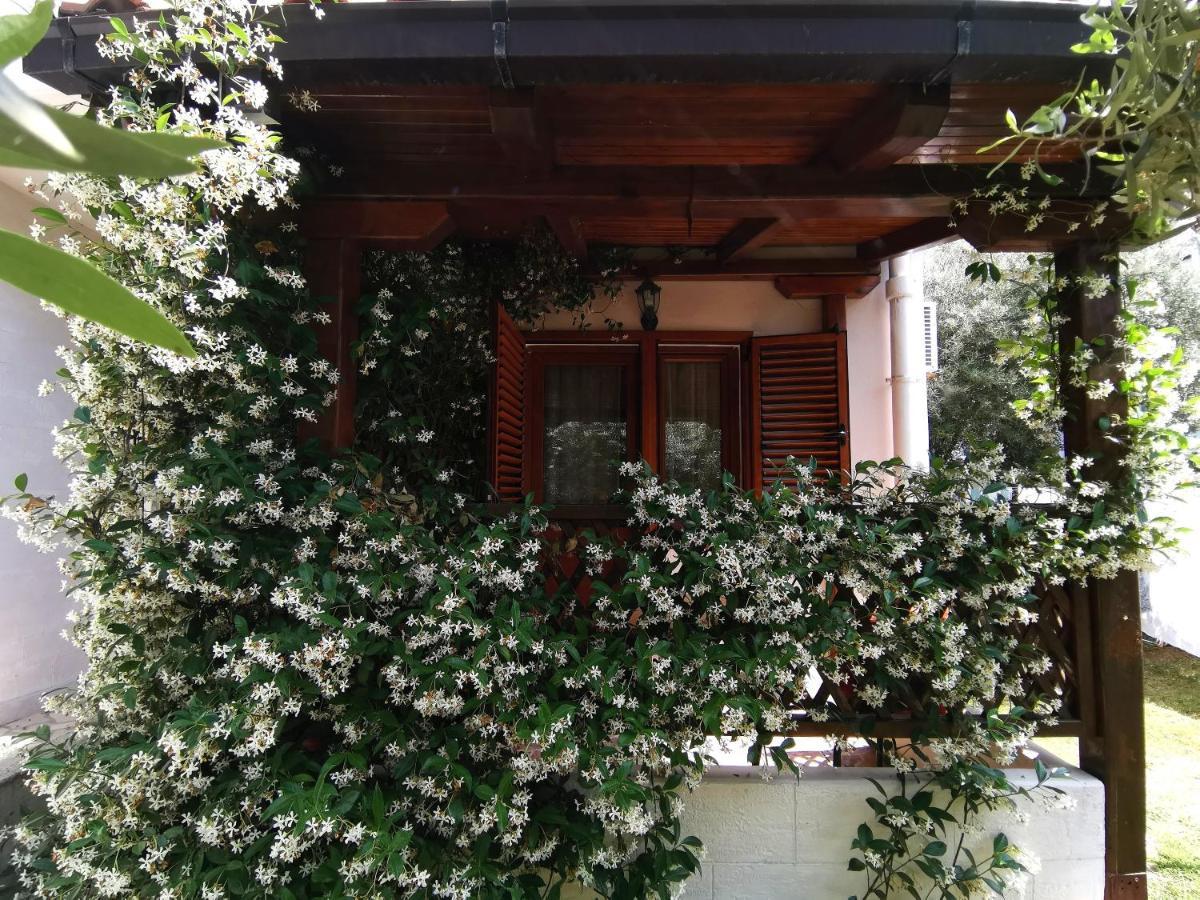 Petrovac Apartments Maris Garden מראה חיצוני תמונה