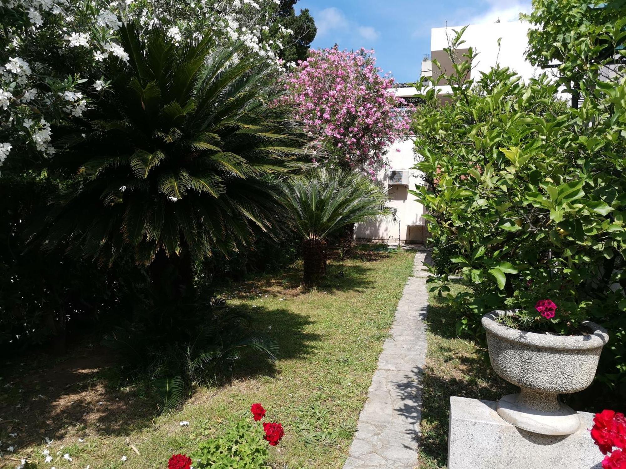 Petrovac Apartments Maris Garden מראה חיצוני תמונה