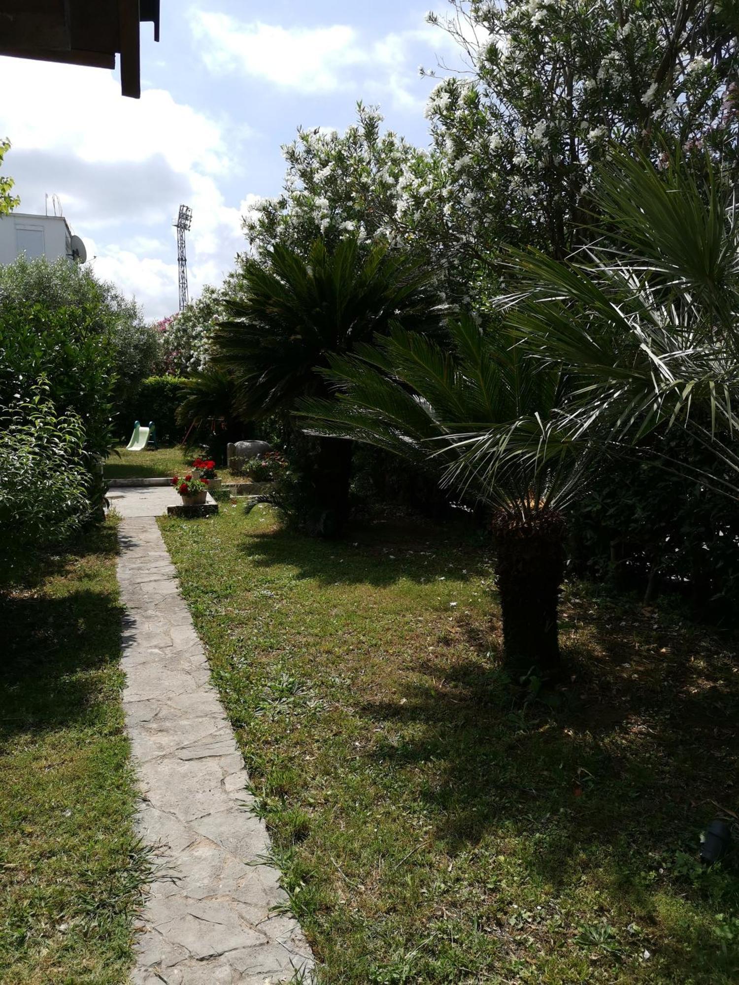 Petrovac Apartments Maris Garden מראה חיצוני תמונה