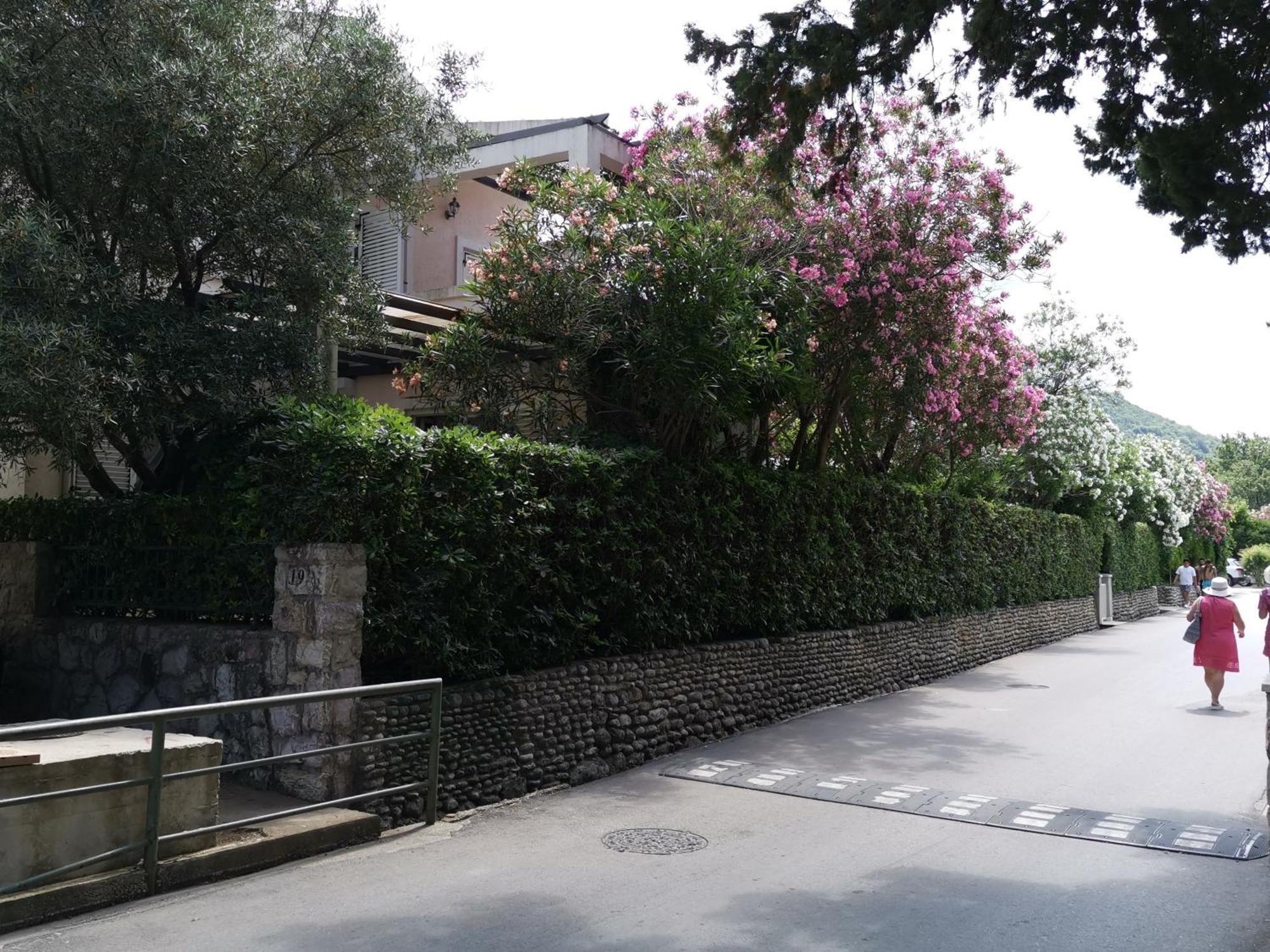 Petrovac Apartments Maris Garden מראה חיצוני תמונה